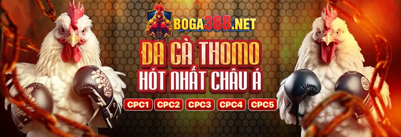 Quy trình rút tiền thắng cược từ tài khoản BONG88VIET.NET